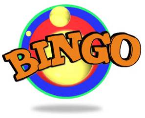 Village Lunch and Bingo 7th June