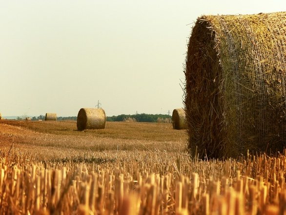 Harvest Supper 21st October 6:30 pm