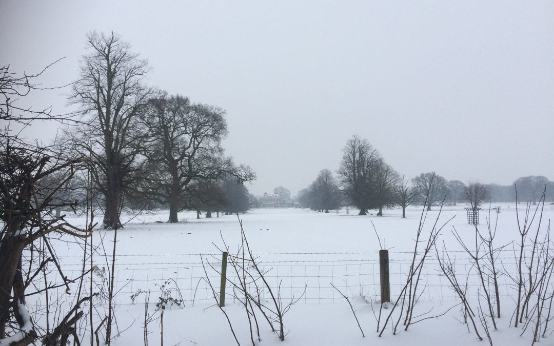 Snow 2018